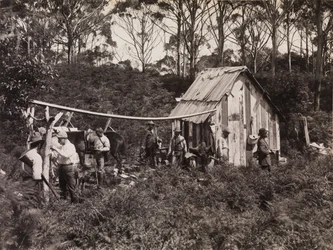 Bertie&39;s Hut, Expedição do Clube de Naturalistas de Campo para King Island
